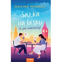 Sázka na lásku (a jiné katastrofy) - E-kniha