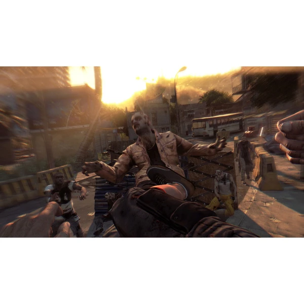 Dying Light (PS4) - Hry pro PS4 - Obrázek 0024100201