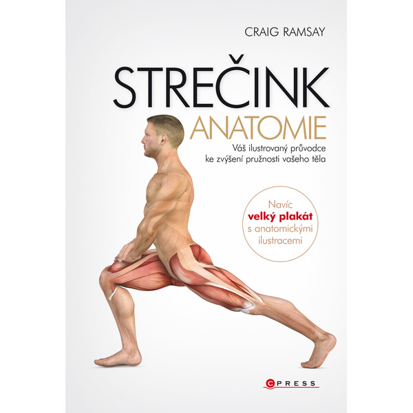 Strečink - anatomie