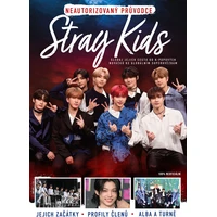 Stray Kids - E-kniha