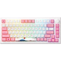 Akko MOD007B HE PC Tokyo R2 Magnetic Sakura (US) - Klávesnice