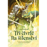 Tři čtvrtě na šílenství - E-kniha