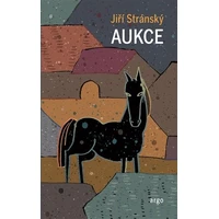 Aukce - E-kniha
