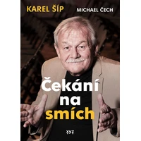 Čekání na smích - E-kniha