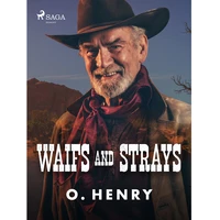 Waifs and Strays - E-kniha