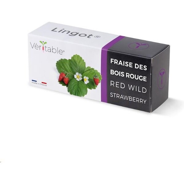 Véritable Lingot Divoké červené jahody