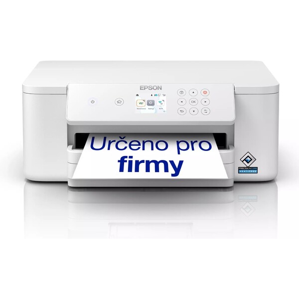 Epson C11CK75401 Šedá