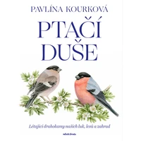 Ptačí duše - E-kniha