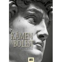 Kámen a bolest - E-kniha