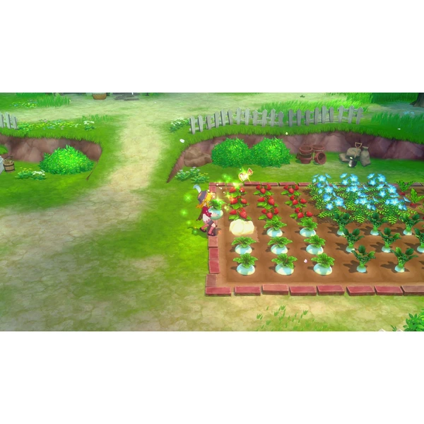 Story of Seasons: Grand Bazaar (Switch) - Hry pro Nintendo Switch - Obrázek 04YE000O01