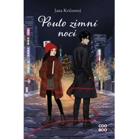 Pouto zimní noci - E-kniha