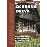 Ochrana dřeva - E-kniha