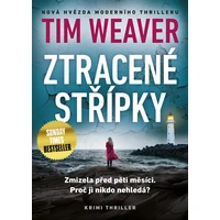 Ztracené střípky - E-kniha