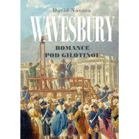 Wavesbury - E-kniha