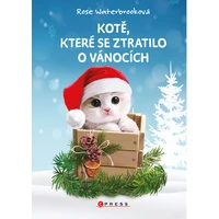 Kotě, které se ztratilo o Vánocích - E-kniha