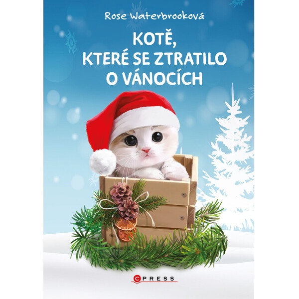 Kotě, které se ztratilo o Vánocích