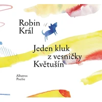 Jeden kluk z vesničky Květušín - E-kniha