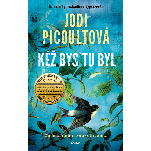 Kéž bys tu byl