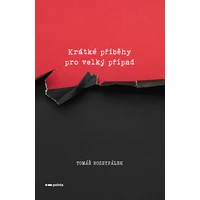 Krátké příběhy pro velký případ - E-kniha