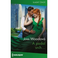 A padal sníh… - E-kniha