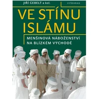 Ve stínu islámu / Menšinová náboženství na Blízkém východě - E-kniha