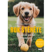 Rok štěněte - E-kniha
