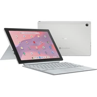 ASUS ChromeBook CM3 CM3001DM2A-EDU128) stříbrný - Notebooky
