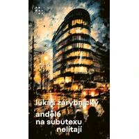 Andělé na subutexu nelítají - E-kniha