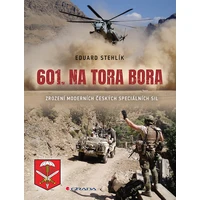 601. na Tora Bora - E-kniha