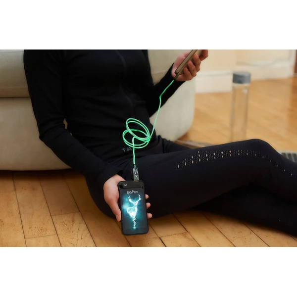 Lazerbuilt svítící powerbanka Harry Potter - Patronus 10000 mAh - Powerbanky - Obrázek 0A7H000K01