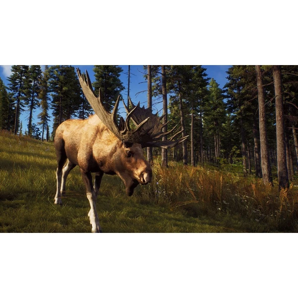 Way of the Hunter - Hunting Season One (PS5) - Hry pro PS5 - Obrázek 0EZ6000701