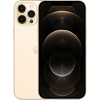 Apple iPhone 12 Pro Max 256GB zlatý - Mobilní telefony