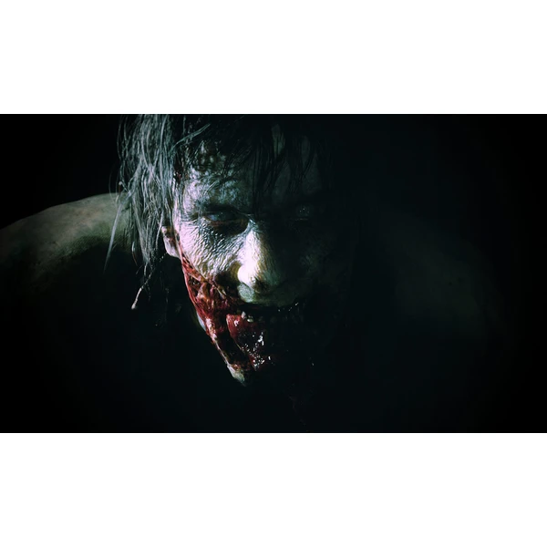 Resident Evil 2 (Xbox One) - Hry pro Xbox One - Obrázek 0L84100201