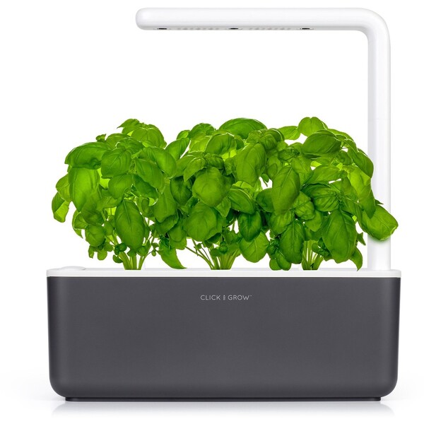 Click and Grow Smart Garden 3 chytrý květináč + 3ks kapslí se semínky bazalky šedý