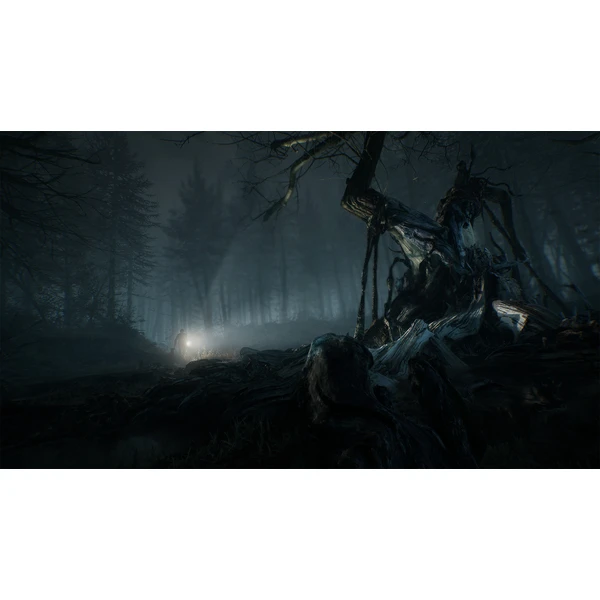 Blair Witch (PS4) - Hry pro PS4 - Obrázek 0SS3100201