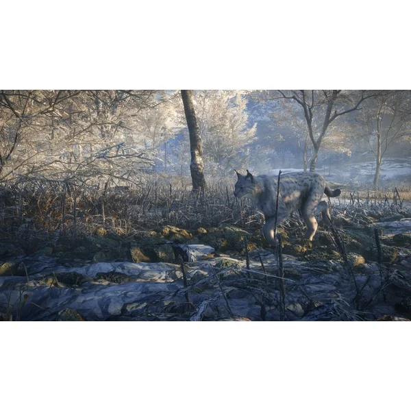 The Hunter: Call of the Wild 2019 Edition (PS4) - Hry pro PS4 - Obrázek 0ZXPF00101