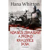 Adam ze Zbraslavi a případ kralevice Jana - E-kniha