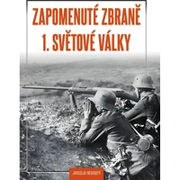 Zapomenuté zbraně 1. světové války - E-kniha