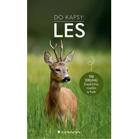 Les - Do kapsy - E-kniha