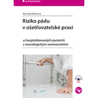 Riziko pádu v ošetřovatelské praxi - E-kniha