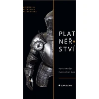 Platnéřství - E-kniha