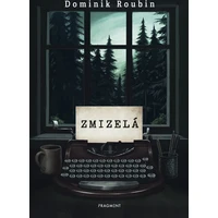 Zmizelá  - E-kniha