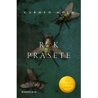 Rok Prasete - E-kniha
