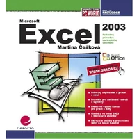 Excel 2003 - E-kniha