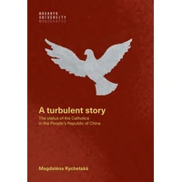 A turbulent story - E-kniha