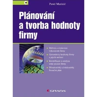 Plánování a tvorba hodnoty firmy - E-kniha