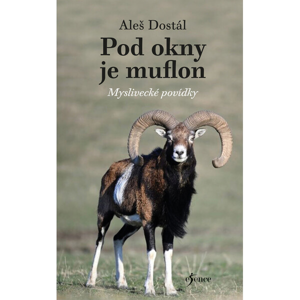Pod okny je muflon