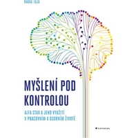 Myšlení pod kontrolou - E-kniha
