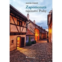 Zapomenutá tajemství Prahy - E-kniha