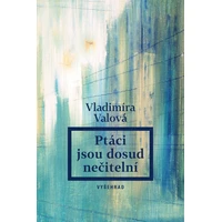 Ptáci jsou dosud nečitelní - E-kniha